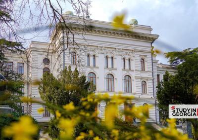 TSU | Campus | StudyInGeorgia.com